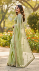 Pista  Saree With Embroidered Heavy Blouse