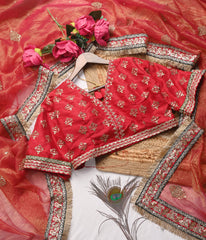 Red Tameti Colour Gold Crush Saree with Heavy Embroidered Blouse and Sequin Border Work