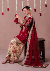 The Regal Maroon Velvet Embroidered Salwar Suite - Boutique Collection